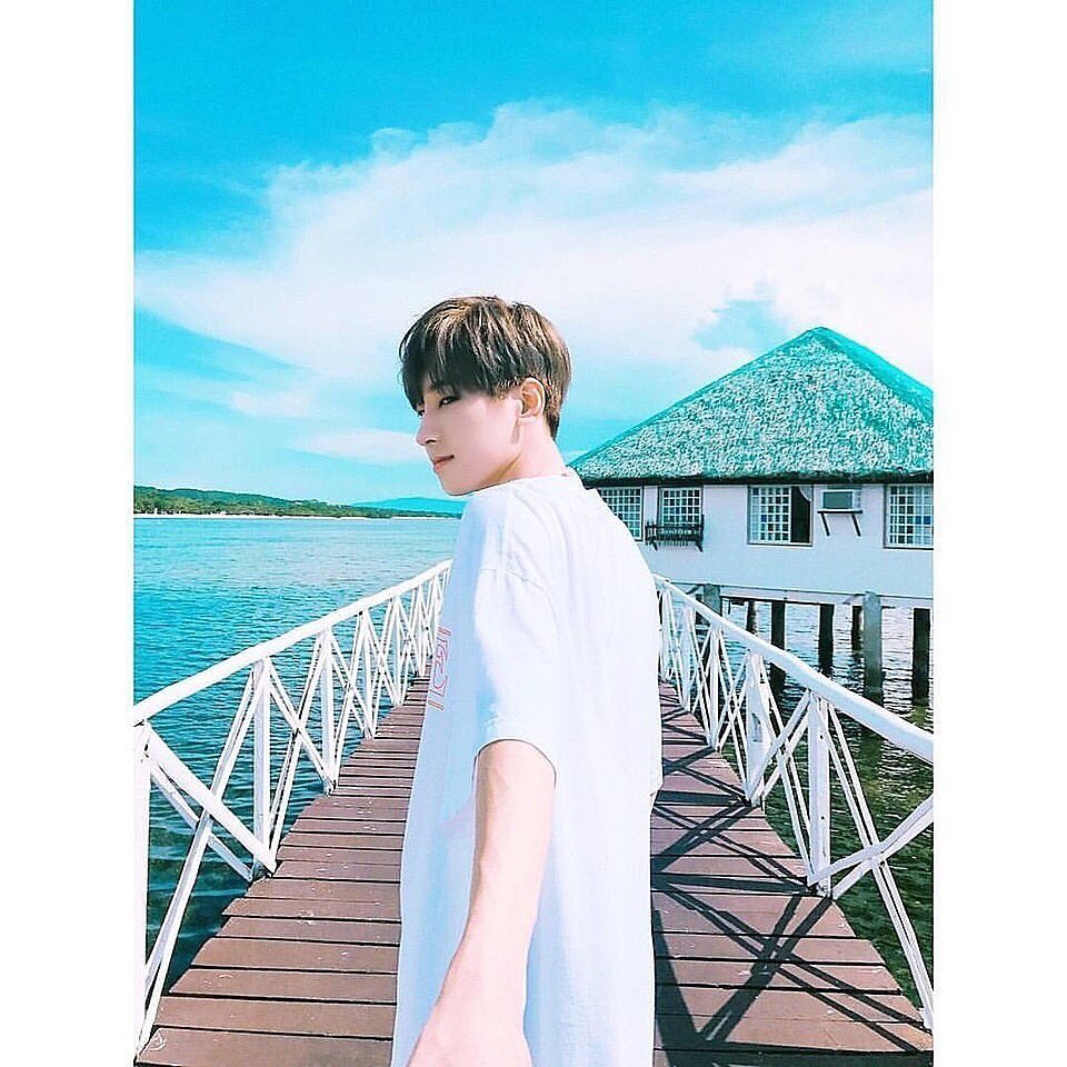 svt___womi's tweet photo. セブチ垢作ったのでお友達探し🐝🌷

💎00line

💎ウォヌくん・ミンギュ寄りのオルペン

💎同ペン、他ペン大歓迎！！

仲良くしてください🌈

#CARATさんたちと猛烈に絡みたいのでRTした人フォローします 
#CARATさんたちと猛烈に絡みたいのでRTした人お迎え行きます #CARATさんと繋がりたい https://t.co/26s2JZ9OIm