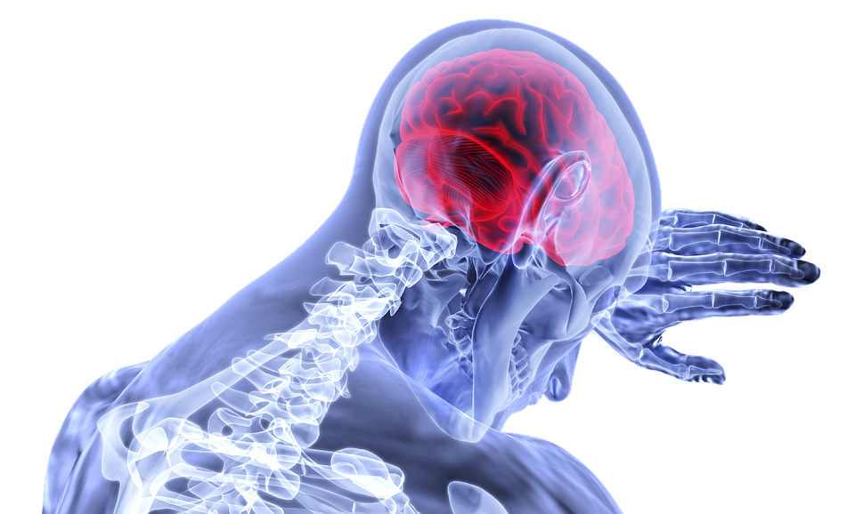 innovatica's tweet photo. ¿Sabes cómo procesa el #miedo nuestro cerebro? Dando prioridad a la amenza, aumentando ondas theta para la información visual y funciones mentales superiores para la toma de decisión y las ondas beta que controlan el comportamiento motor.
#innovatica #gestiondelconocimiento https://t.co/JLcChYF7Ye