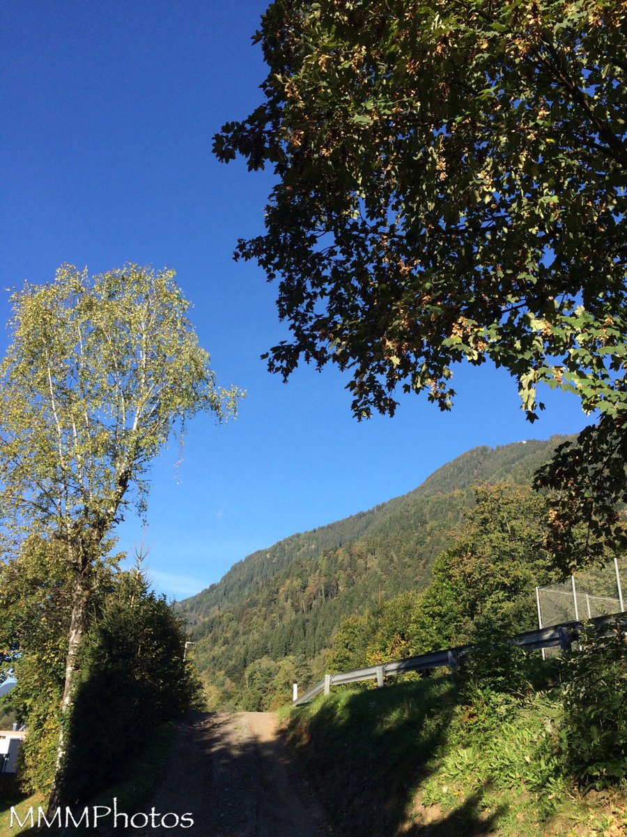 ManuelaMravlak's tweet photo. The further the morning progressed, the brighter it became. The fog dissolved to give way to the sun — as well as the very blue sky. And the autumnal colors of the trees and bushes enchant me as well.. #MMMExperiences #MMMatWork #MMMPhotos #Autumn #Colorful #Blue #Sky https://t.co/Dz4JaP3IB1