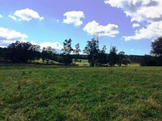 khaya_ndamane's tweet photo. I see now Land thieves R selling the Land that do not belong 2them ahead of #LEWOC & #BLACKelites +Mbekites like boZungu r buying these "farms" making themselves accomplices to Stolen Land,be warned we will #TakeBackOurLand even if you are fronting 4Settlers all 59 farms in #KZN https://t.co/lBLIF7uzHp