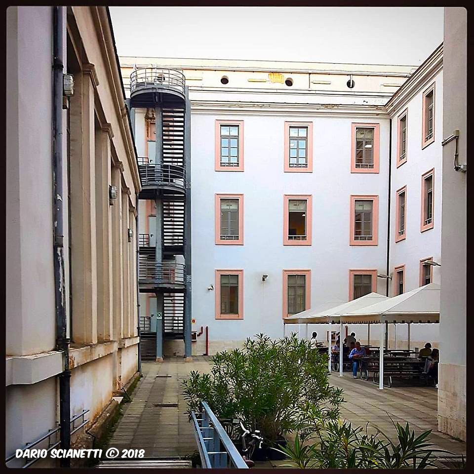 𝚍𝚊𝚛𝚒𝚘 𝚜𝚌𝚒𝚊𝚗𝚎𝚝𝚝𝚒 µ tweet media