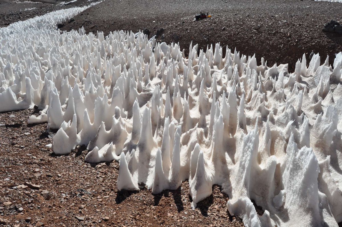 Divulgameteo's tweet photo. ¿Qué relación existe entre las nieves penitentes (izquierda. Vía @linznicholson) y Charles Darwin (derecha)? #meteoquiz Lo conté en este artículo de @conecmagazine: https://t.co/dXhrEkjYKh https://t.co/DqDrLIihzD