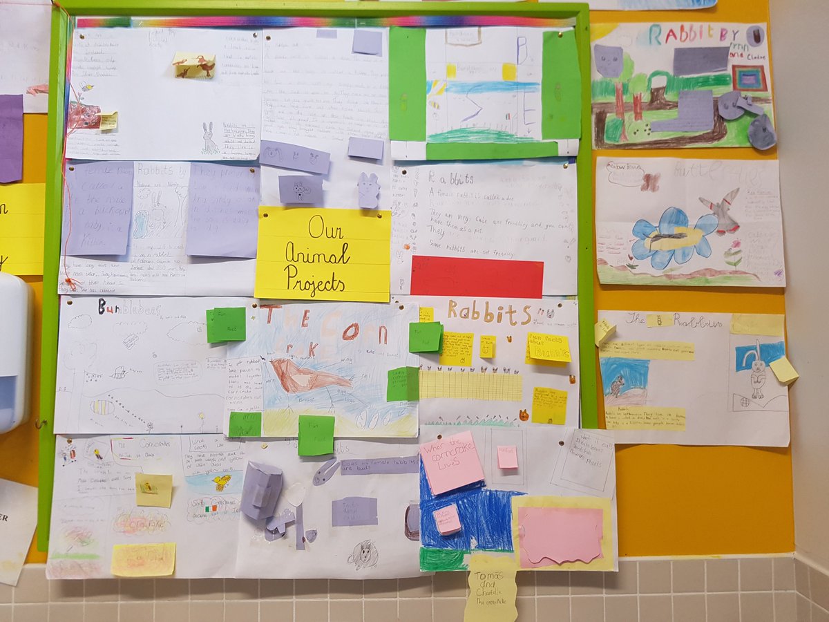 CrinkillNS's tweet photo. 3rd class have been busy this month completing projects in SESE. They enjoy working together. #homesinourcommunity #animalprojects #sese #teamwork https://t.co/qAK9L4qXzg