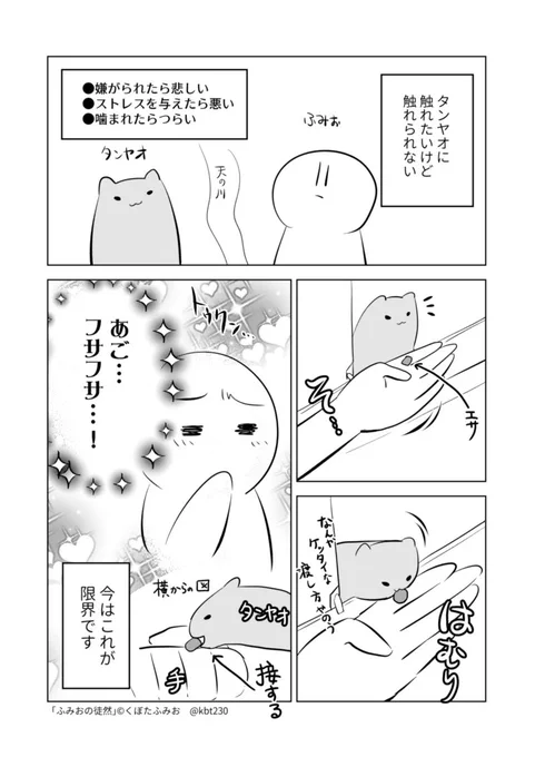 タンヤオかわいいです　#ふみおの徒然 