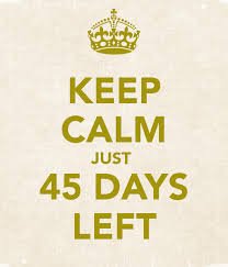 MushyPeaDay (@mushypeaday) on Twitter photo 