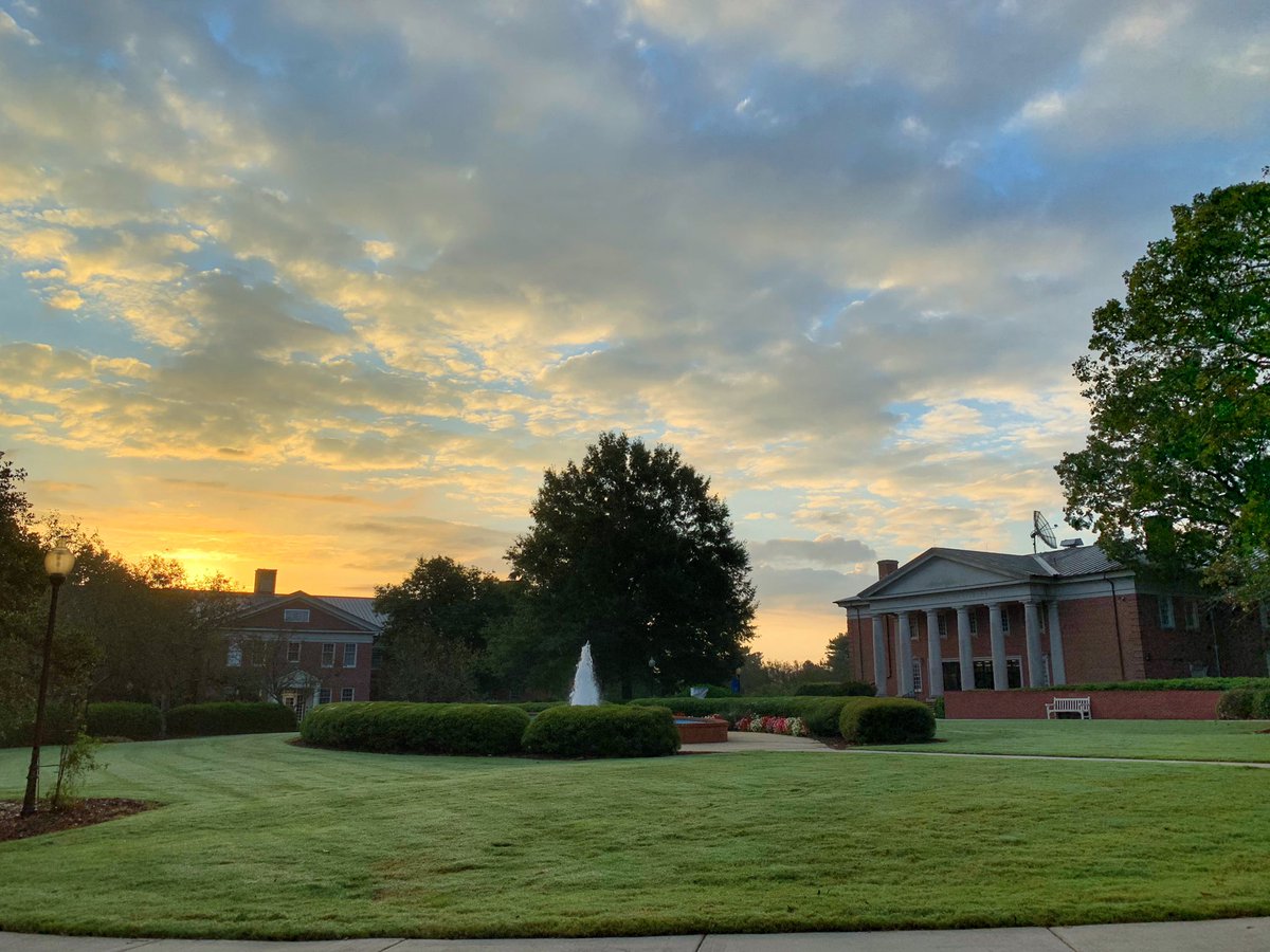 Good Morning! ☀️