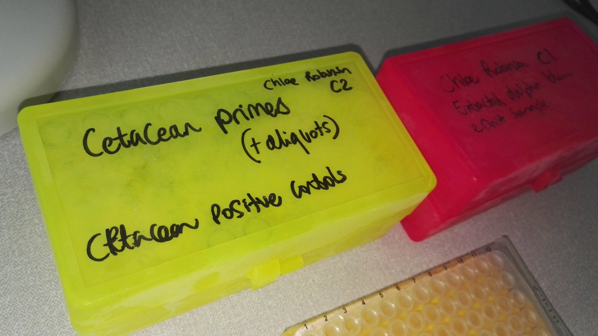 @hnuuttila@mstdn.social tweet media