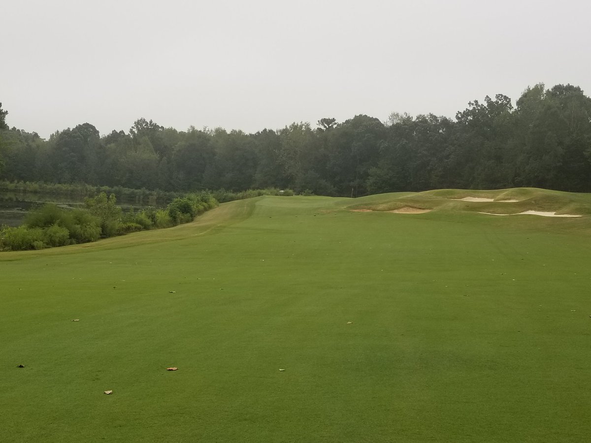 Brush greens/double cut greens/course set up/finish Pre-M rough/continue aerifing rough &amp; compost/circle cutting fwys/blow leaves &amp; clippings.