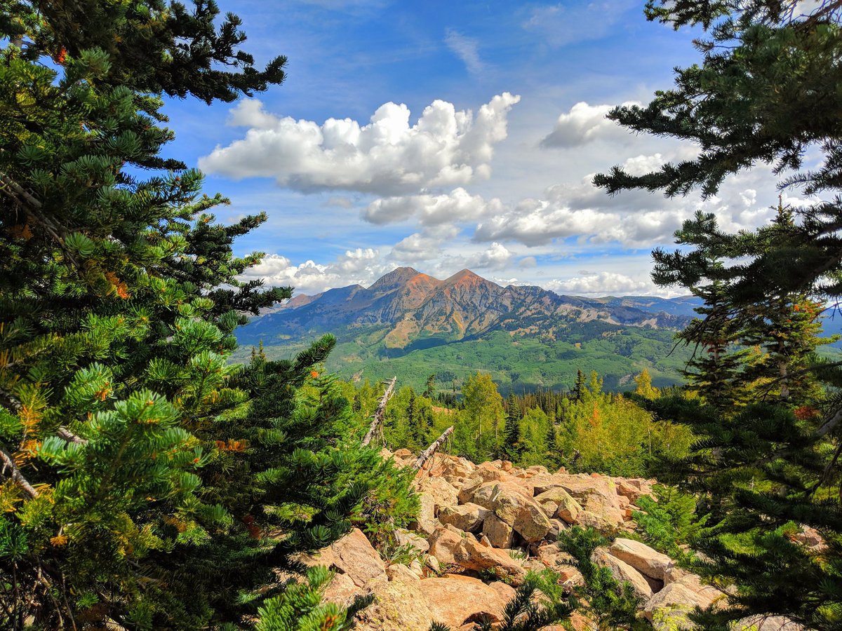 Josh_j_Mattson's tweet photo. Ruby...#crestedbutte #westelkproject https://t.co/f1V9bOyh1J