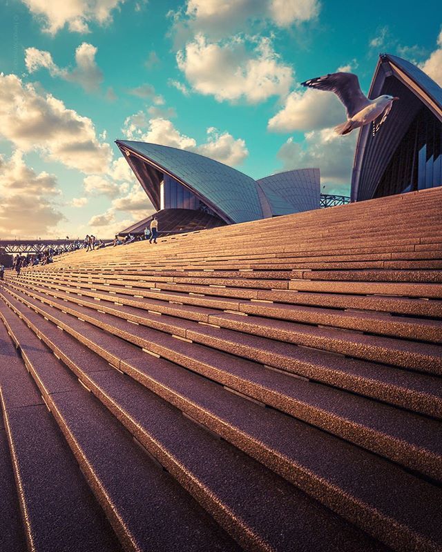 heredownunder tweet media