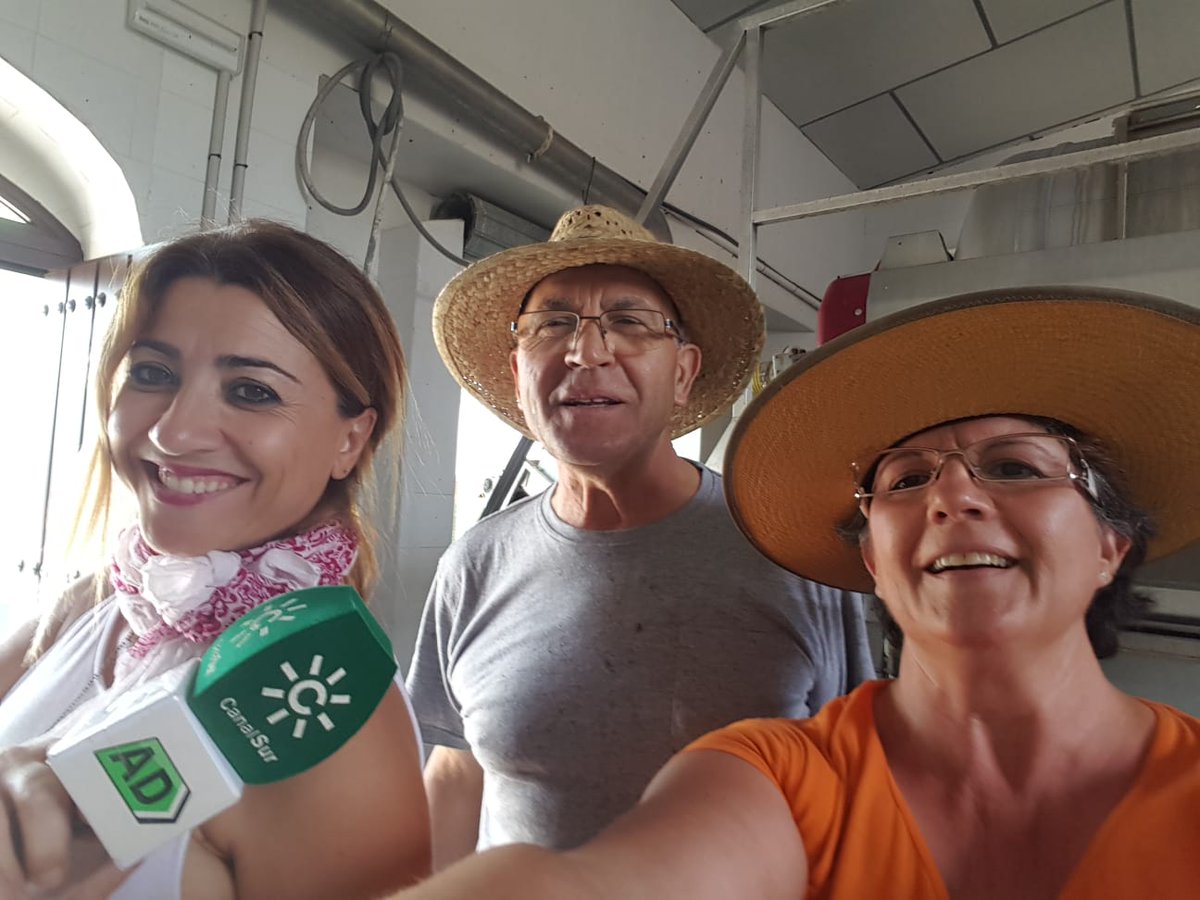 Hoy el equipo del programa <a href="/adirecto/">Andalucía Directo ❎</a> visita la Sierra de #Montilla para conocer el proceso de elaboración del #arrope de la mano de Charo Jiménez de Lagar la Primilla
¡Tenéis un avance del reportaje de hoy en <a href="/MontillaTurismo/">Turismo de Montilla</a> !
📺 De 18h a 20h en <a href="/canalsur/">CanalSur</a> #Amontíllate