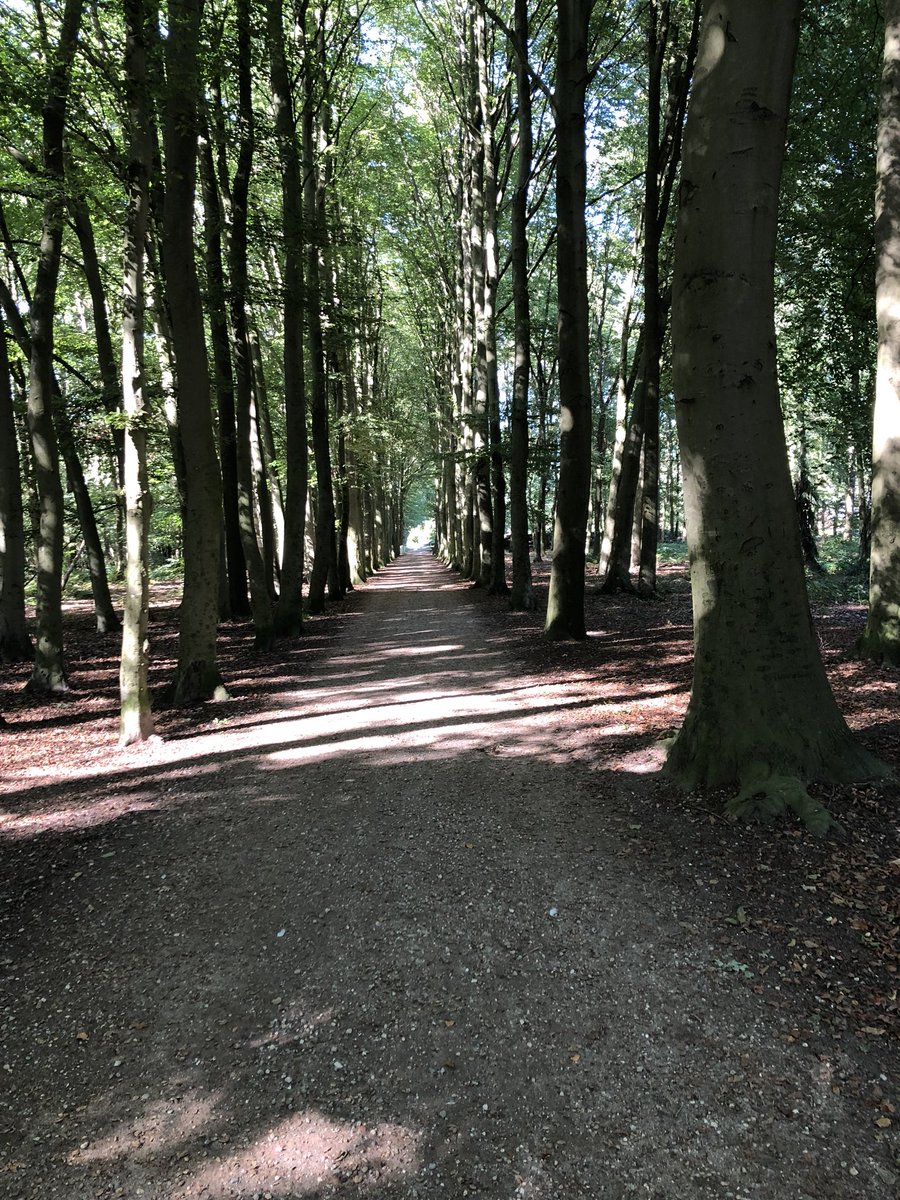 Herfst in Schaffelaarbos ..... tijd voor een wandeling