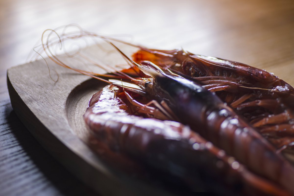 tradevo_sevilla's tweet photo. Gambas a la sombra.
#tradevo #tradevosevilla #tradevocentro #tradevonervion #tradevosanbernardo #gonzalojuradochef #restaurantetradevo #tradicionyevolucion #restaurantessevilla
📸 #HugoZapata https://t.co/cmkSMLE3Fr