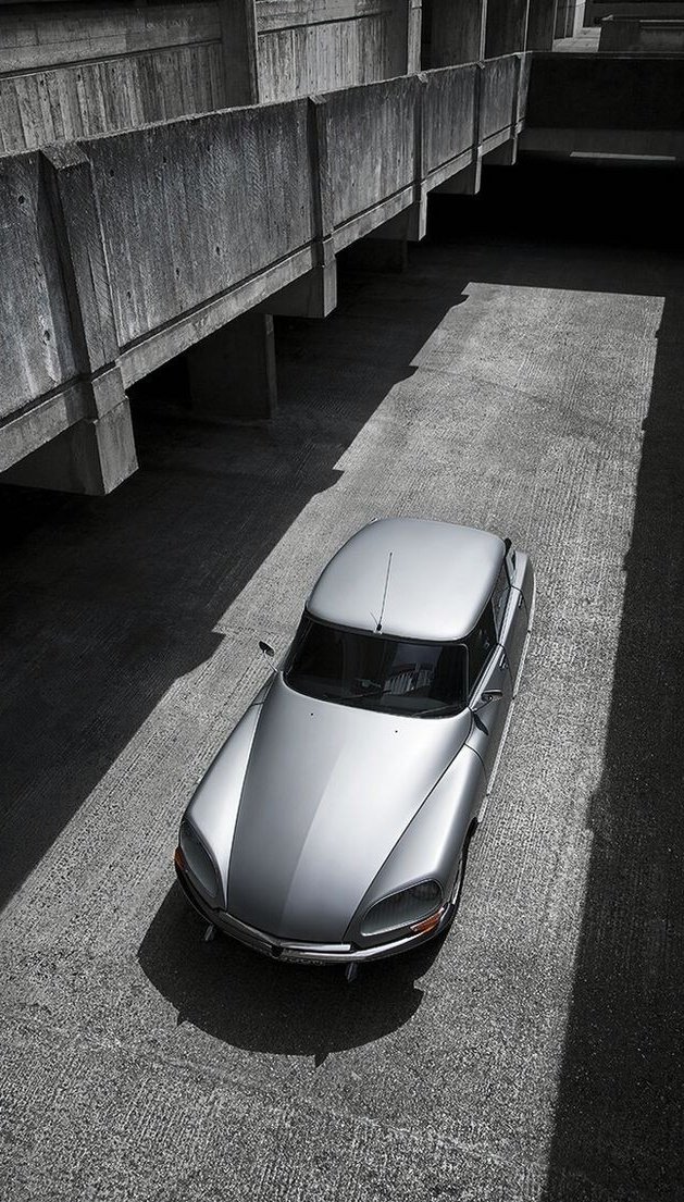 Silvestre García tweet media