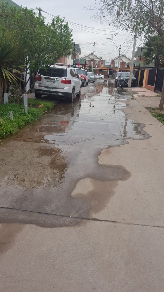 Carlos Valdebenito tweet media