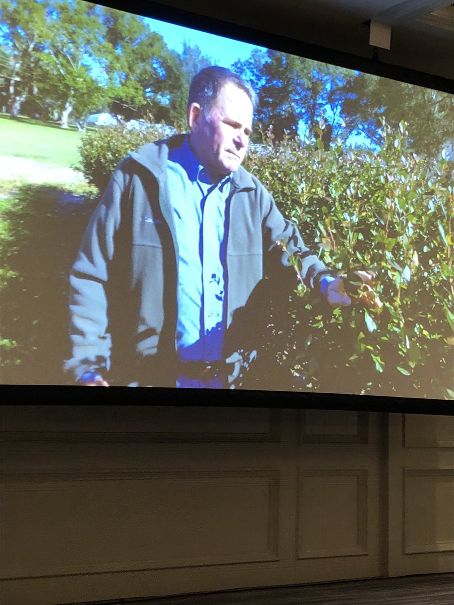 northernaggal's tweet image. “Leading Agriculture” is truly what #FFVA is all about!  The Cracker Breakfast is one of my favorite events of the year!!  #FloridaAgriculture #FFVAConvention #howmanywlialumsareinthevideo