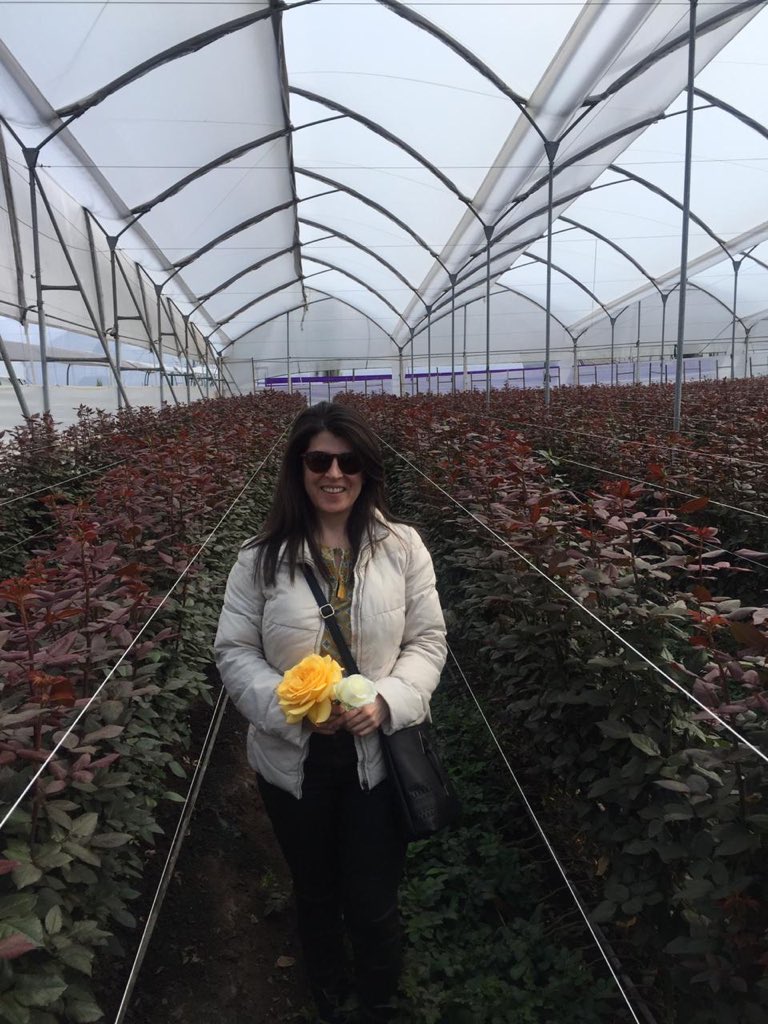 florverdeorg's tweet photo. Florverde presente en #Expoflor Ecuador 2018, compartiendo experiencias con los productores de este bello país. #FloresEsmeralda y #FloresHojaVerde - Gracias por la bienvenida. https://t.co/sxfseC067X