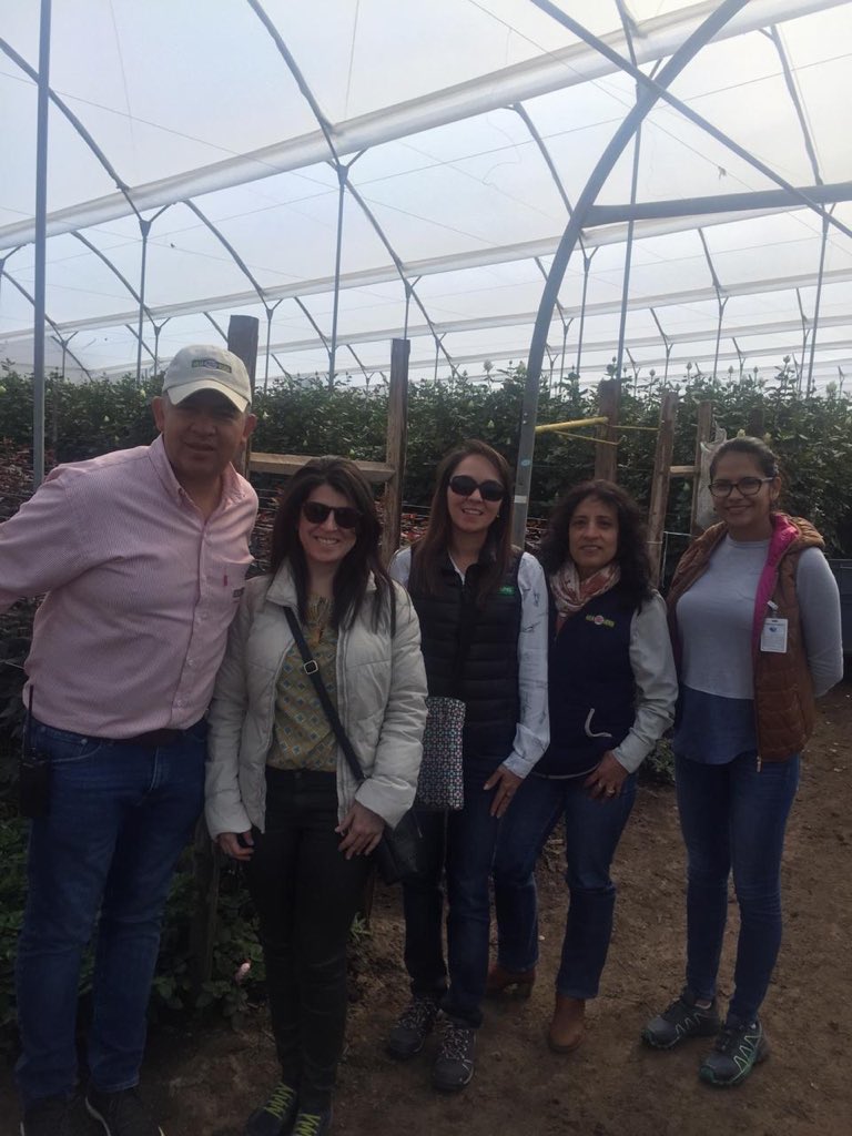 florverdeorg's tweet photo. Florverde presente en #Expoflor Ecuador 2018, compartiendo experiencias con los productores de este bello país. #FloresEsmeralda y #FloresHojaVerde - Gracias por la bienvenida. https://t.co/sxfseC067X