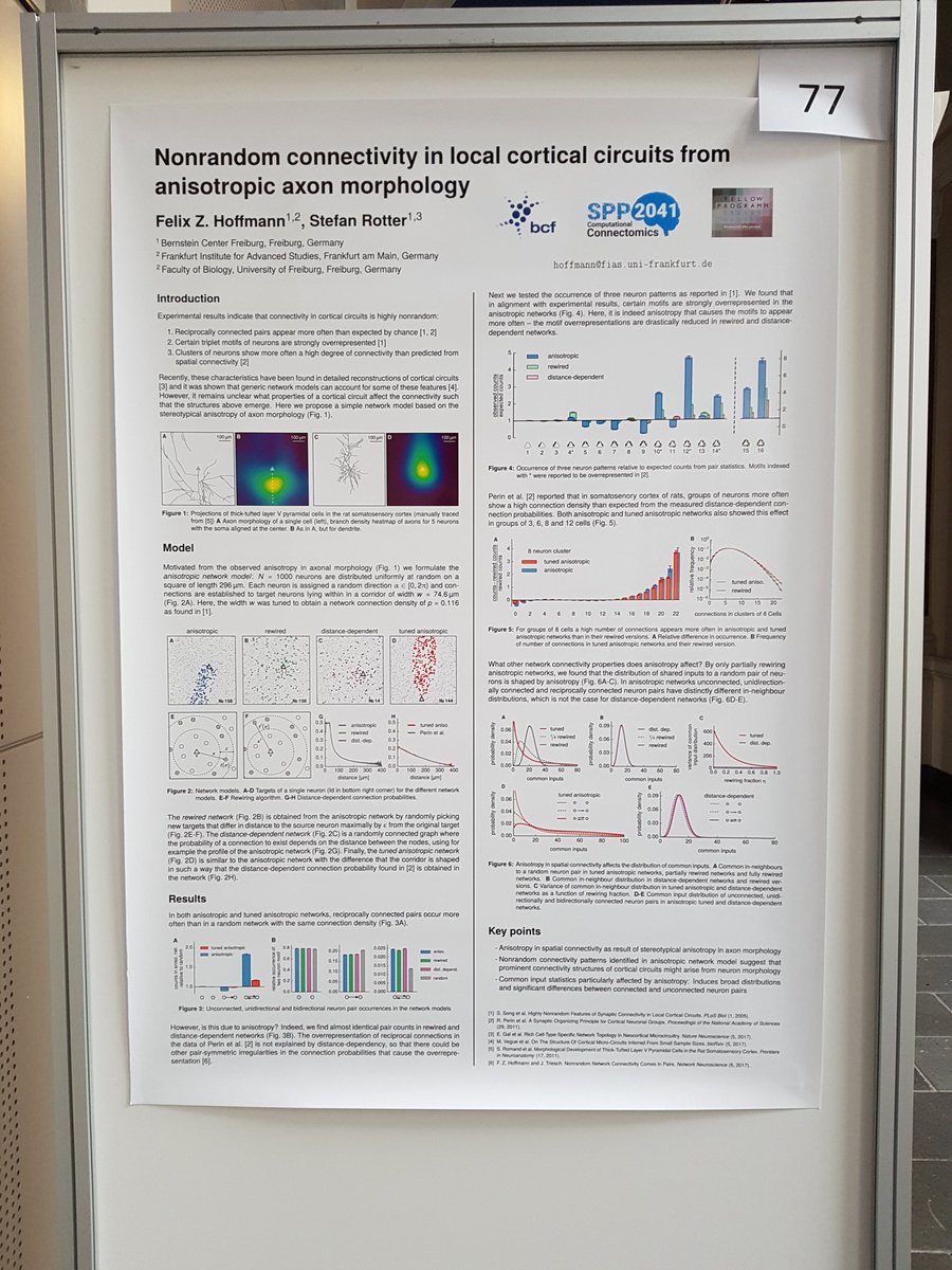 felix11h's tweet photo. What a venue to present my poster at #BernsteinConference! Stop by today at No. 77 to learn how anisotropy in spatial connectivity shapes the nonrandom structure in cortical circuits. Poster PDF: https://t.co/yKKUBoEs6a https://t.co/Fb7QZ2BSUe