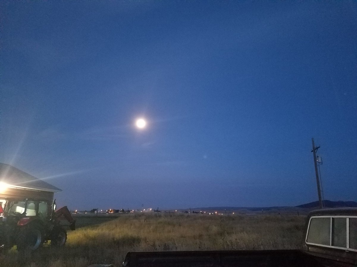 chadolson1976's tweet photo. Good mooning I guess🤷‍♂️ https://t.co/Rabos2DG6K
