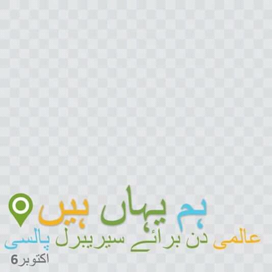 CPHumNawa's tweet photo. #WCPD2018 is on Oct6th  use this #Urdu frame to show your support for #CP in all over #Pakistan #Lahore #Karachi #Rawalpindi #WahCantt #KPK #Punjab #Sindh #Baluchistan #FaisalAbad #Gilgit https://t.co/fL5UsEiptj
