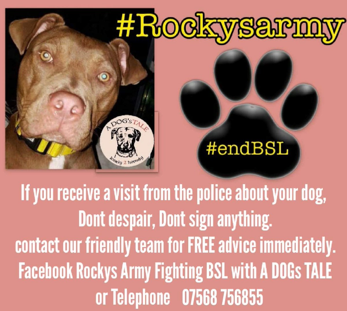 rockysarmyvbsl's tweet photo. #WednesdayWisdom today an owner we had been helping in an alleged bite case has been told no charges will be brought against them 😍 its very important to seek help from the very start of any allegation https://t.co/z2jGGqvRjc