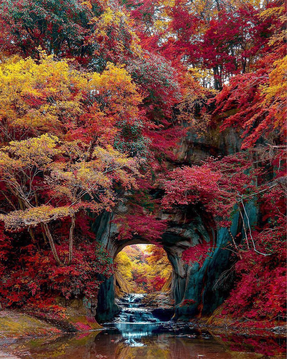 A Change of seasons 🍂 

chiba_prefecture