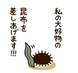 気が利くウニ② 
