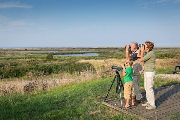 The Nightjar (@nightjar_music) on Twitter photo This could be you, watching us <a href="/nwtcleycentre/">NWT Cley Marshes</a>! Our only gig of the year and it's in some glorious wetlands by the sea. Would love to see you or your Norfolk kinfolk there wegottickets.com/event/447808 This could be you, watching us <a href="/nwtcleycentre/">NWT Cley Marshes</a>! Our only gig of the year and it's in some glorious wetlands by the sea. Would love to see you or your Norfolk kinfolk there wegottickets.com/event/447808