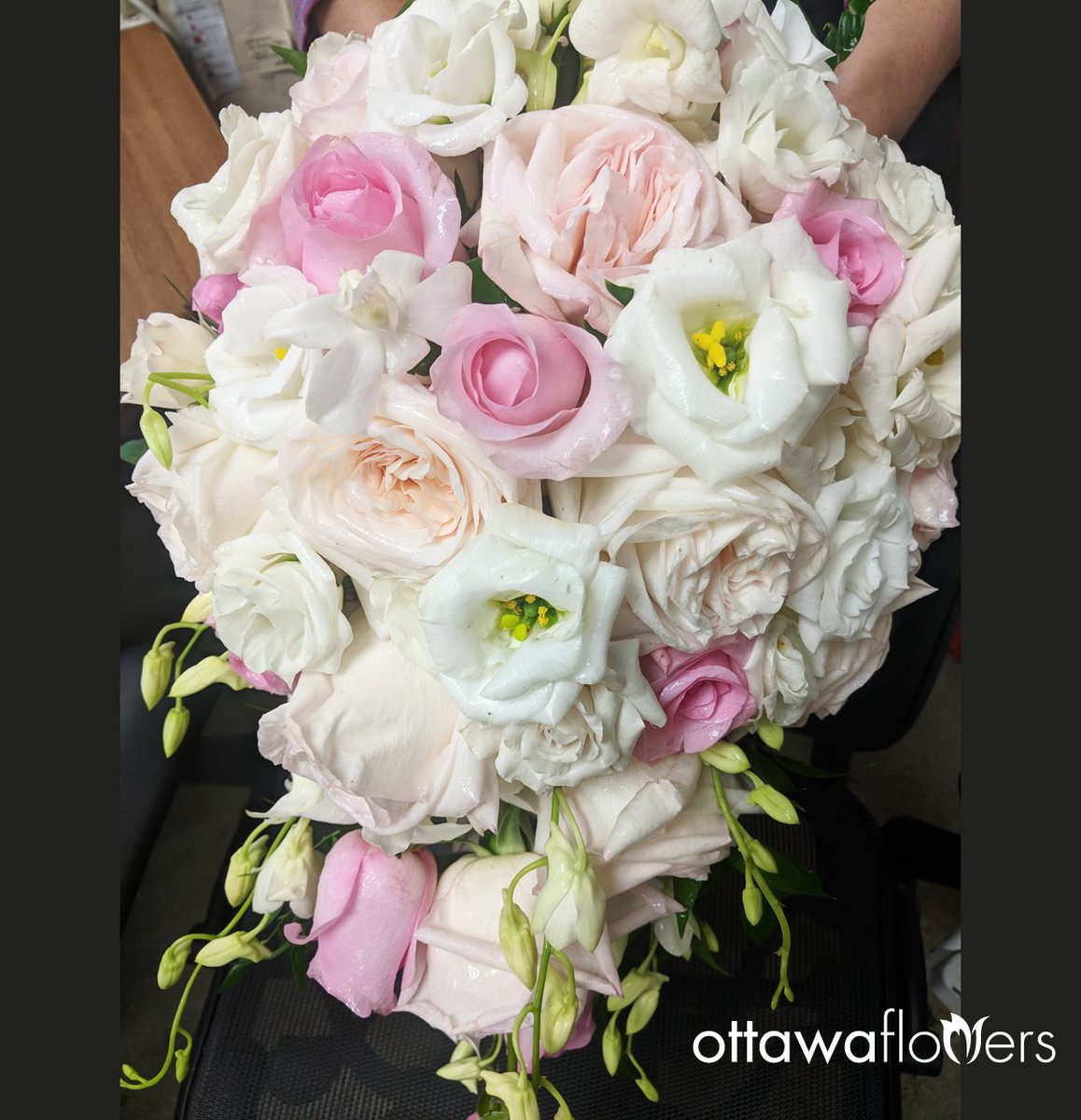 wedding_group's tweet photo. One of last weekend's luscious bride bouquets in #classic design #style.
#ottawa #ottawabride #ottawawedding #ottawaflowers #ottawaflroist
#florist #flowers #bridebouquet #bride #bouquet #ottcity #roses #gardenroses
https://t.co/geK7r9RyF5 https://t.co/wbGqVYXty6