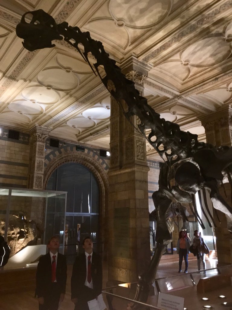 That shock and awe moment. <a href="/SandSci/">SandSci</a> @SandringhamSch1 #eld2018 <a href="/NHM_London/">Natural History Museum</a>