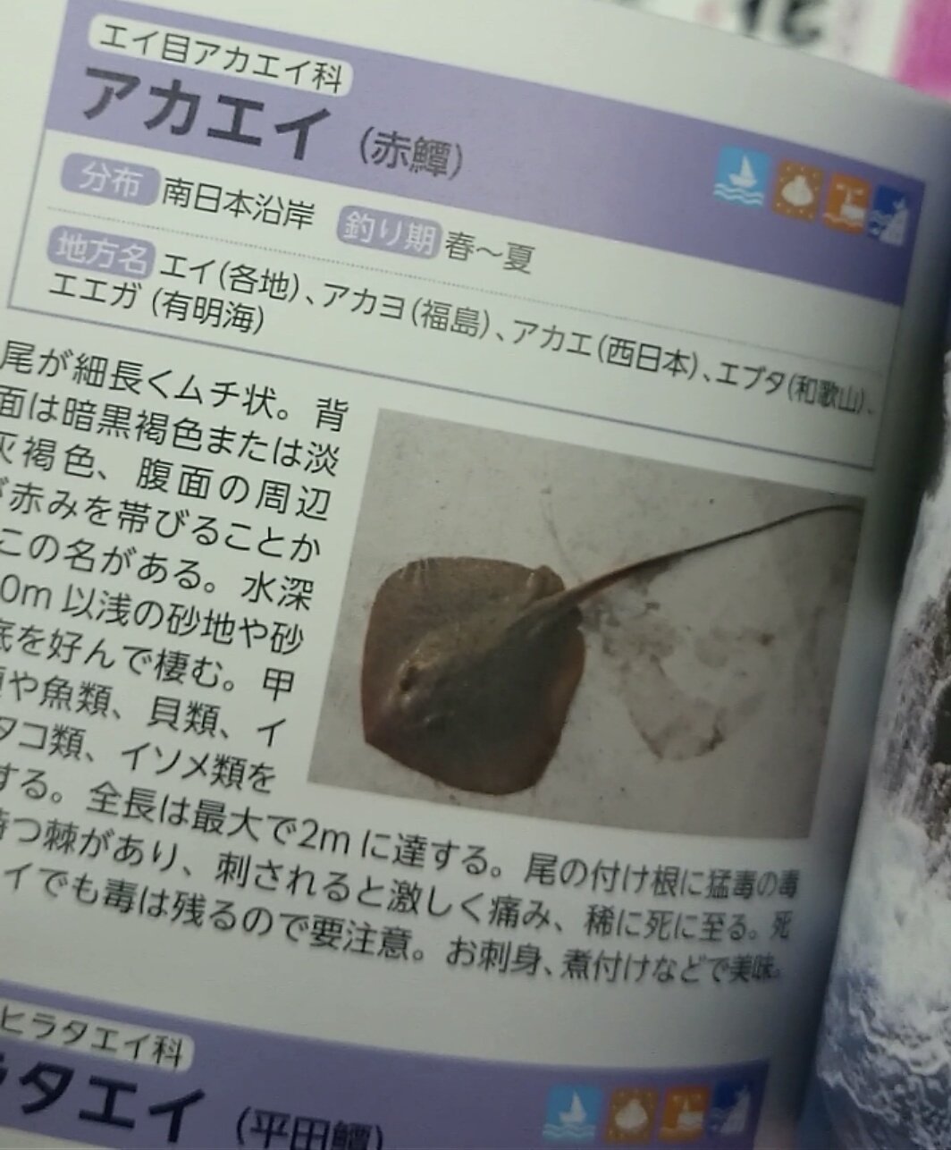 Cyberiguana على تويتر Q エイの穴って本当に人間のソレとそっくりなの A では検証してみましょう こ これは 人人人人人人人人 ヤバタニエン Y Y Y Y Y Y Y Y T Co Cm7px1ynb7 تويتر