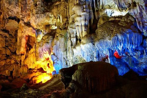 Travelmax5 tweet picture