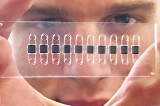 PotomacPhotonic's tweet photo. The many applications of #microfluidics across industries including #medical, #biotech, #POCdiagnostics, #space exploration, #environmental testing, #manufacturing, +More! https://t.co/kscu07uAMg https://t.co/BLNOkbHI8r