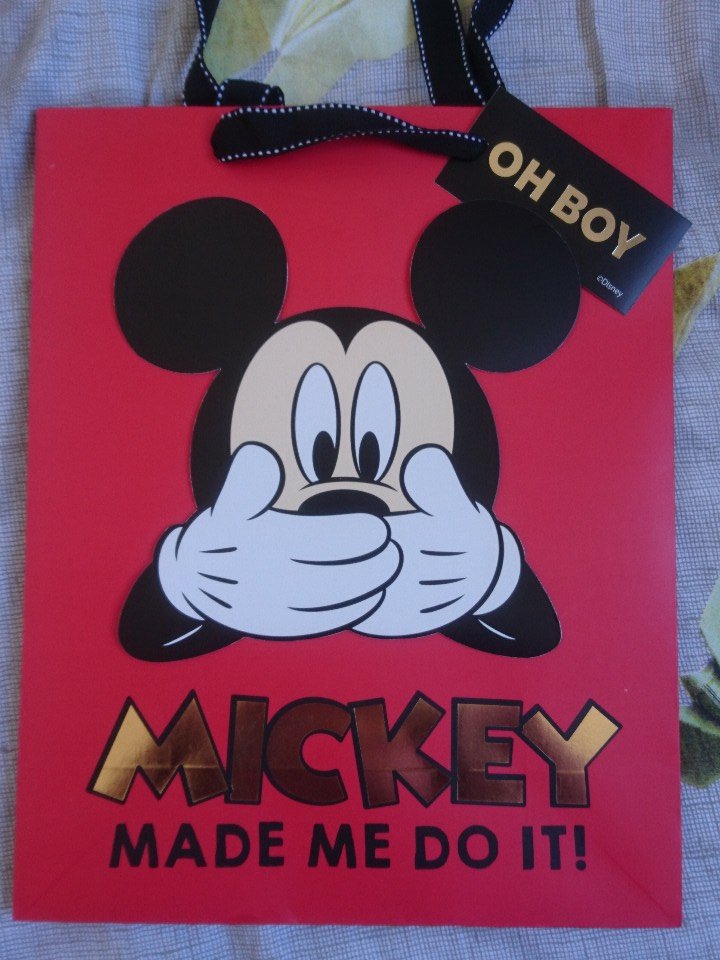 Maria_den's tweet image. Not a valid excuse. @dublandpodcast @pjgallagher @SuzanneKaneFM