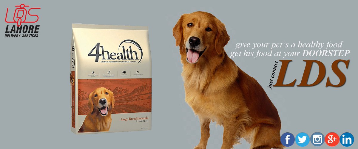 Lahore_Delivery's tweet photo. Give your pet’s a healthy food. Get his food at your doorstep. Call us
At: +92.42.35911309 or +92.336.2222537 or +92.336.3333537
#LDS #LahoreDeliveryServices #Lahore #service #dog #cat #food #pets #animals #dogfood #time #business #sales #Marketing https://t.co/9qOFeiuFrt
