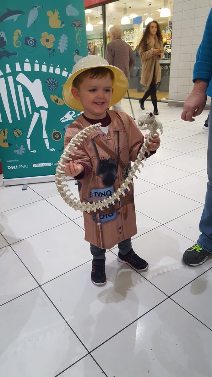 Sue Carvell FInstP tweet media