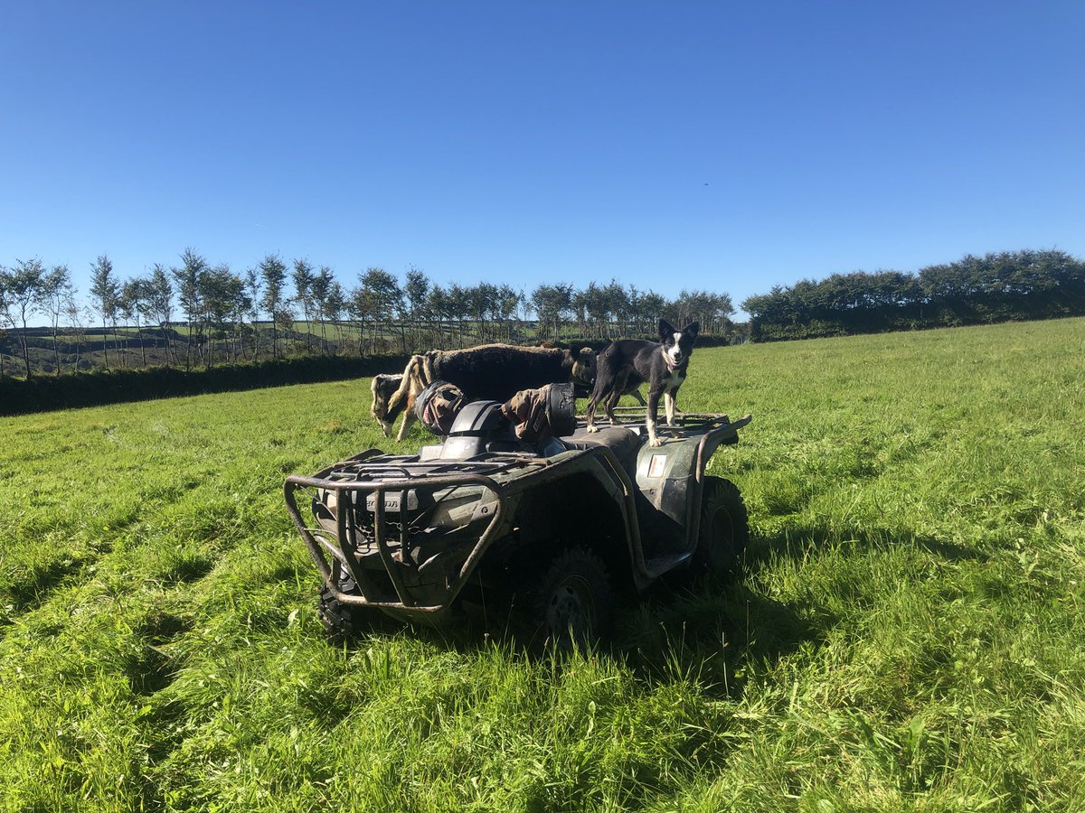 newlandfarm's tweet photo. #ViewOfTheQuad https://t.co/wTL1uVnPnU