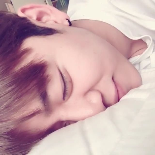 only_daejae's tweet photo. อุ๊ยยยยยยย เจอแมวหลับ zzZ https://t.co/qgrhedUG7t