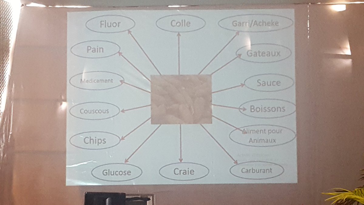 10 opportunités a mettre en oeuvre. Concernant l'Agriculture, le manioc à lui seul a plus de 14 transformations qui peuvent produire de la valeur ajoutée. <a href="/rkwemain/">kwemain roland</a> 
#CGECIAcademy2018