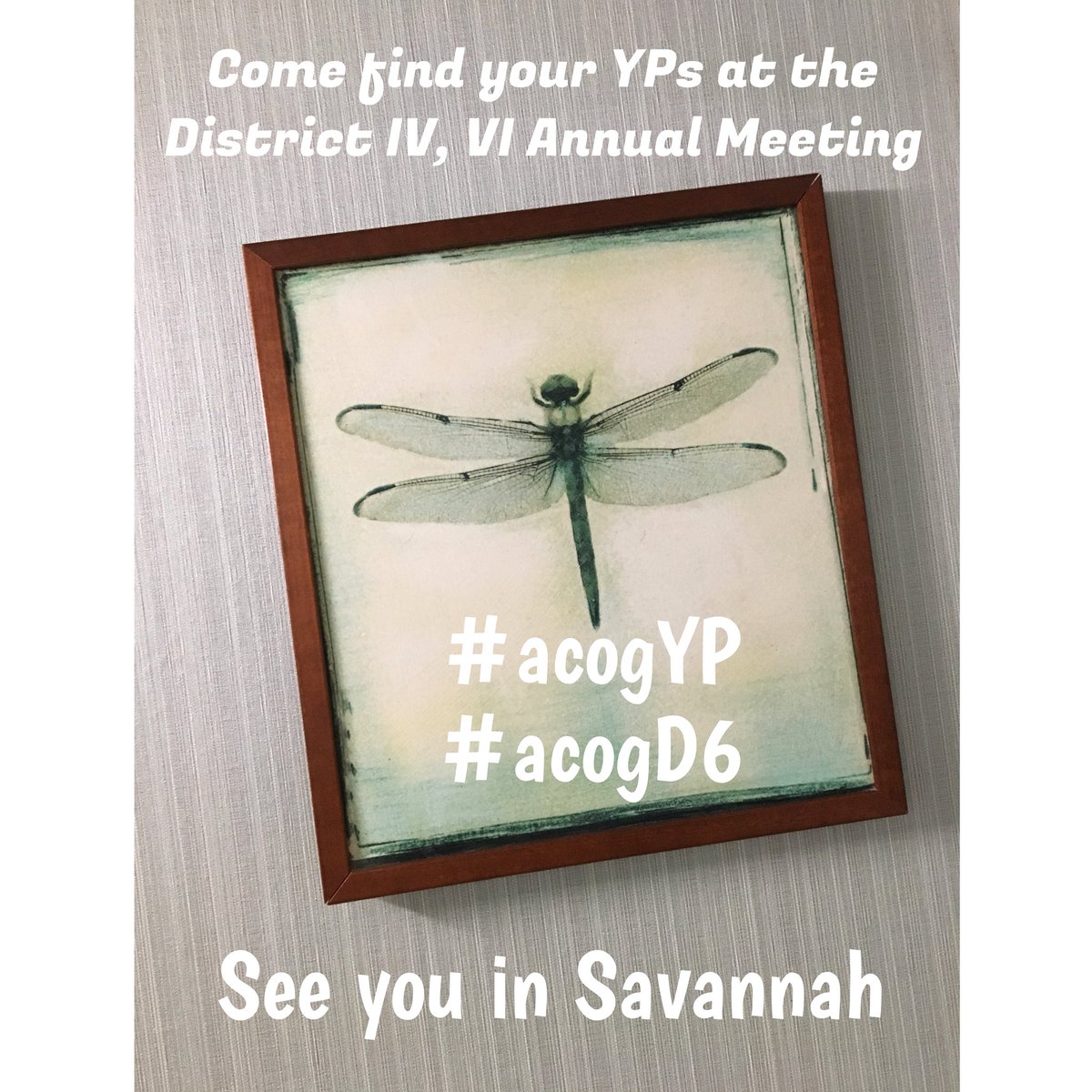 ACOG_Sask's tweet photo. D6 YPs are getting excited for the District Meeting!!
@acogdistrict6 @acogdistrict4 @KristinLyerly #acogyp #acogd6 https://t.co/fFztoNJW1L