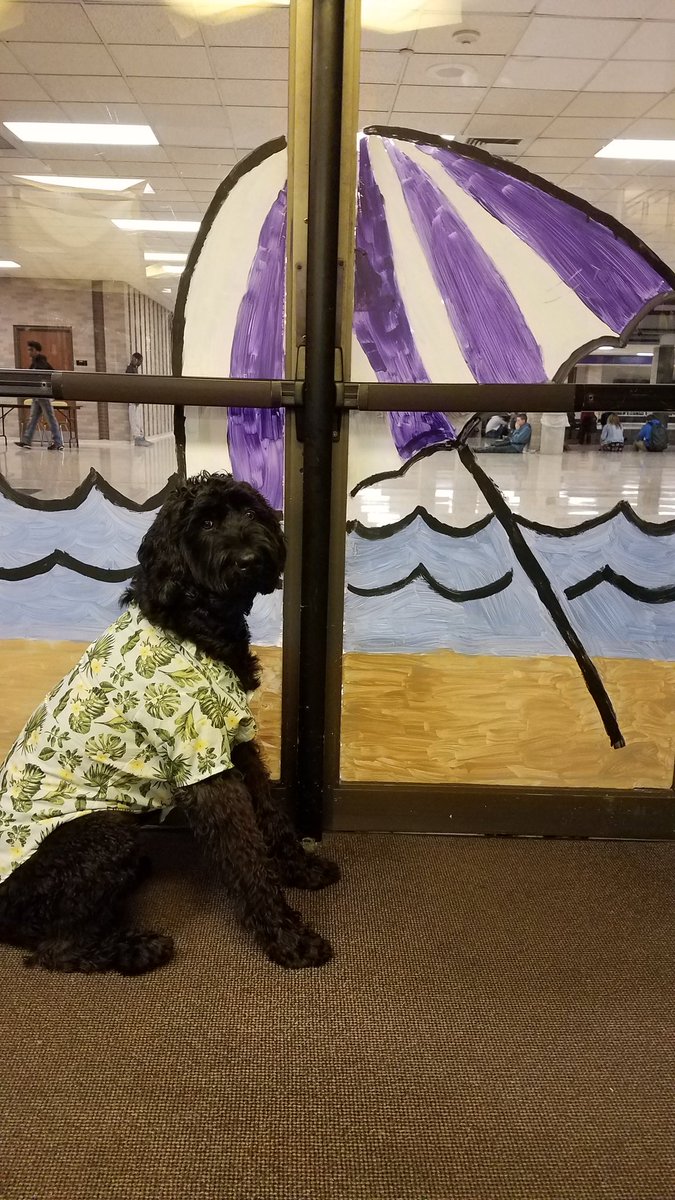 Luau Day!! 🐾☀️🌺🌼🌴🐾