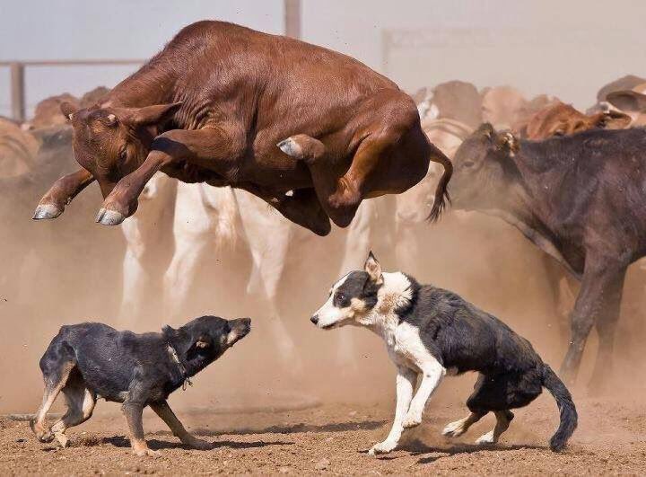 Caption this...
Photo credit unknown