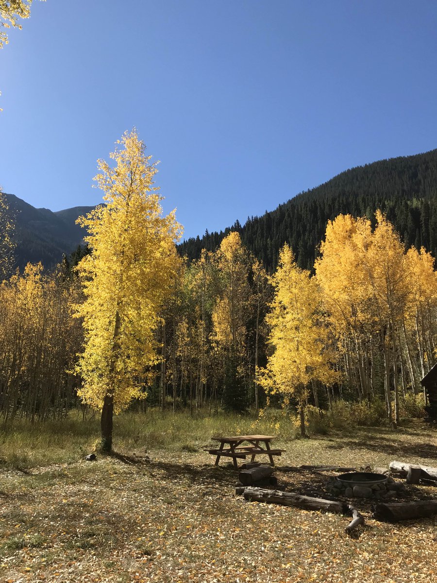 crystalmtnranch's tweet photo. Come get lost with us this Fall-and find yourself again. We have a seat at the table just for you. Find serenity at https://t.co/1fVNKKFCtk #peacfulplaces #unplug #coloradoserenity #fallcolors https://t.co/WKSzBGe1Rt