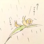 この表情なんとも言えないw雨と風の中で、ナメクジの切実な憧れw