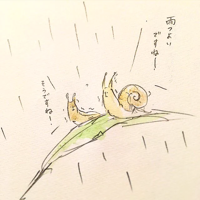 この表情なんとも言えないｗｗ雨と風の中で、ナメクジの切実な憧れｗｗ