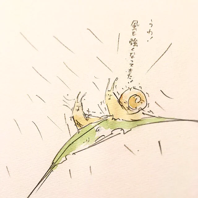 この表情なんとも言えないｗｗ雨と風の中で、ナメクジの切実な憧れｗｗ