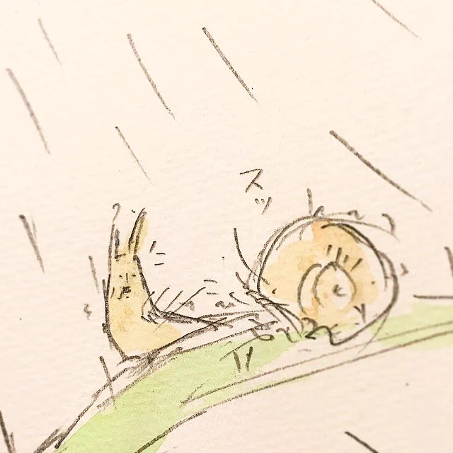 この表情なんとも言えないｗｗ雨と風の中で、ナメクジの切実な憧れｗｗ