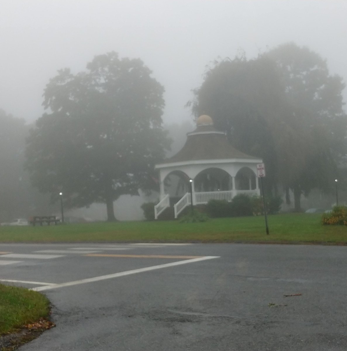 hellohahanarf's tweet photo. Misty and foggy drive to work was beyond magnificent. Squeeeeeee!
#smalltownCT https://t.co/FycS5jxvs4