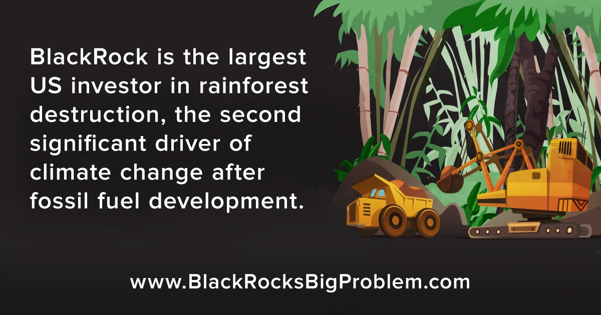 Amazon Watch tweet media